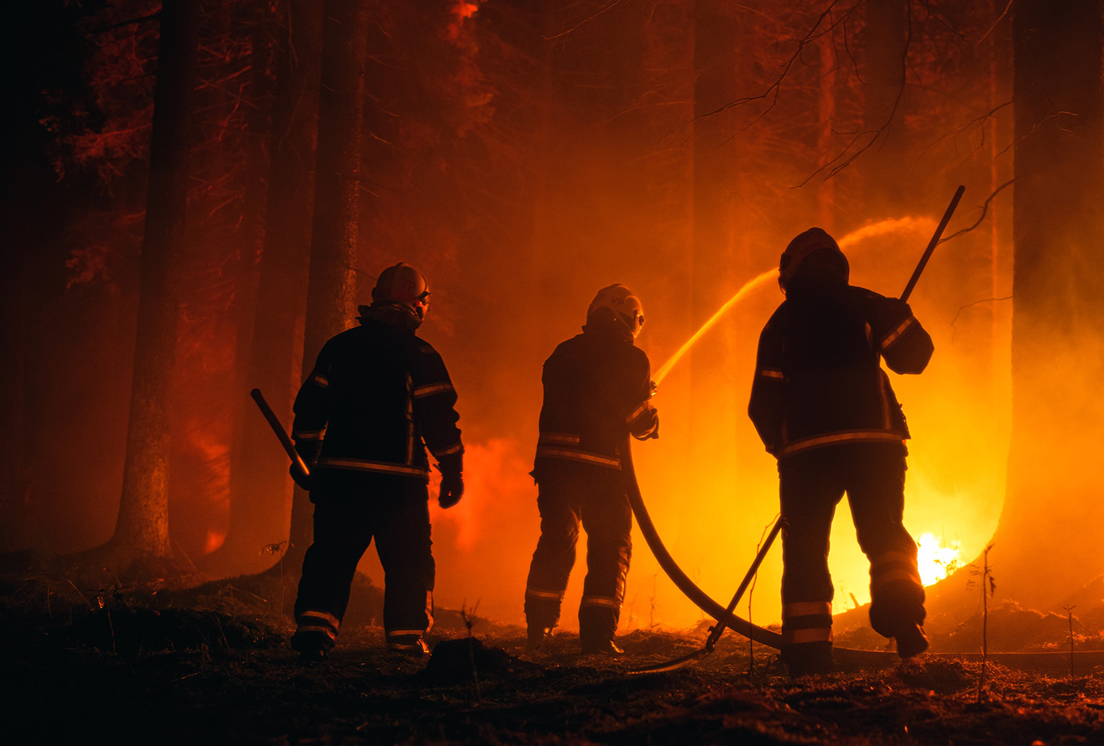 Waldbrandbekämpfung